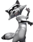 Character: Raccoon